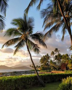 Take Us There: Four Seasons Vail and Four Seasons Oahu