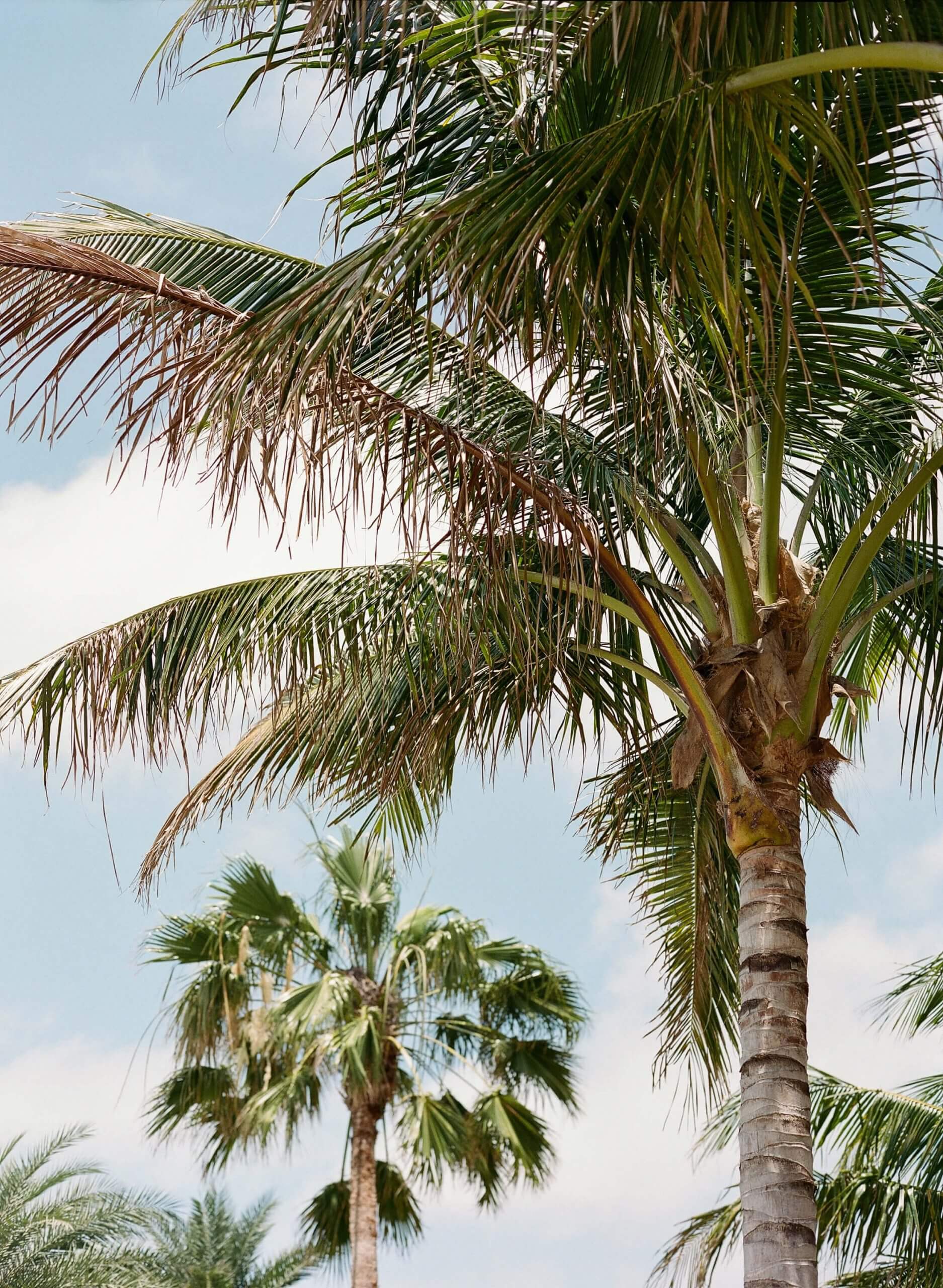 Married on Marco Island - John Cain Photography