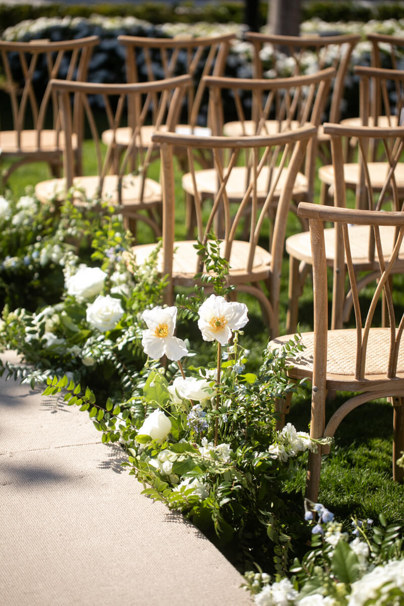 white poppy bloom