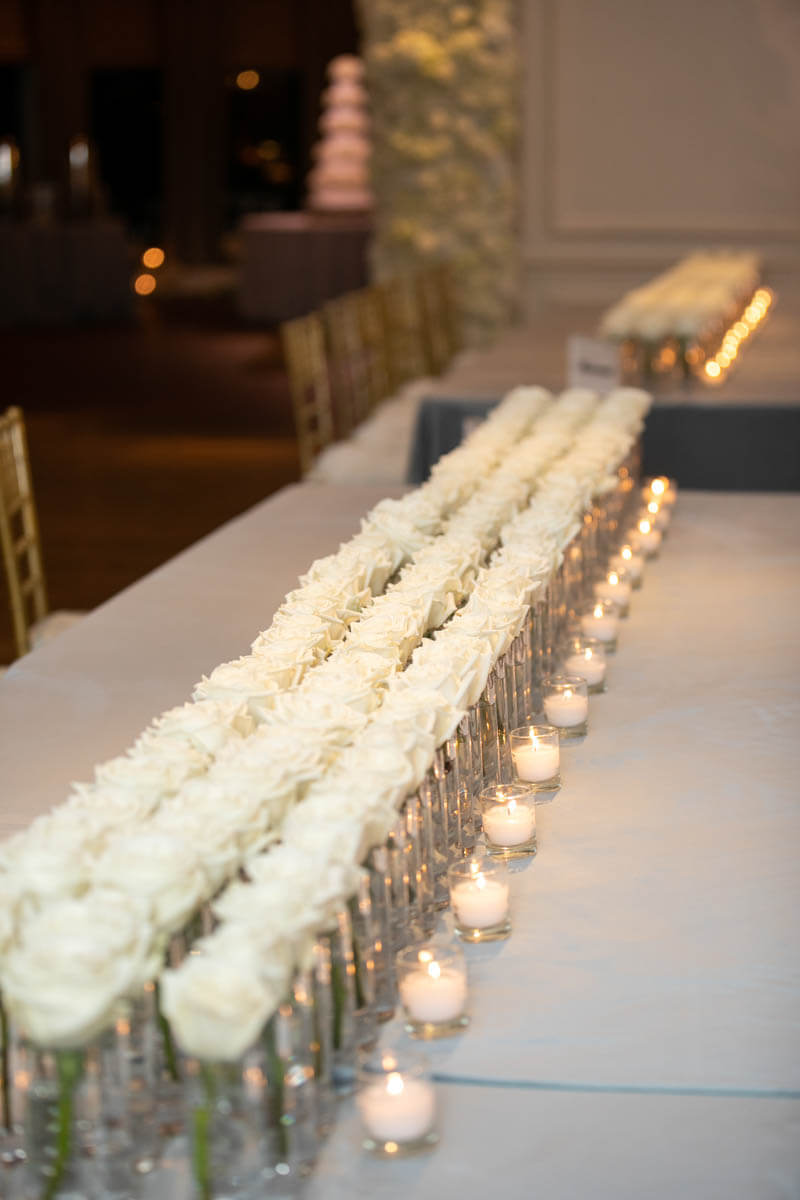 rows of white roses